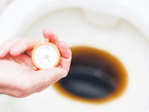 Đổ coca xuống bồn cầu và để qua đêm
